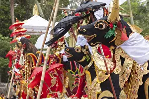 Bali Travel Photography Drucke: Preparing for a corpse cremation