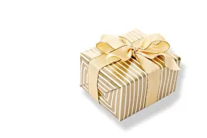Christmas Present Display Drucke: Present
