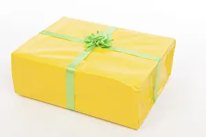 Christmas Gift Drucke: Present