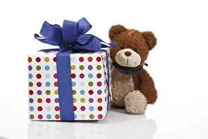 Teddy Bear Gift Drucke: Present with a ribbon and a teddy bear