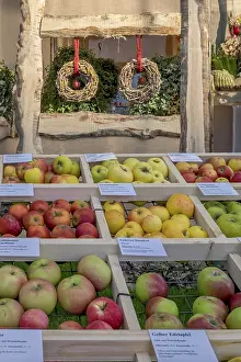 Apple Varieties Drucke: Presentation of different apple varieties