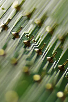 Printed Circuit Board Drucke: Printed circuit board