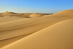 North African Deserts Drucke: Pristine sand dunes stretch out under a clear blue sky
