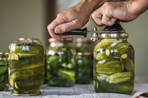 Homemade Pickles Drucke: The process of closing salted cucumbers