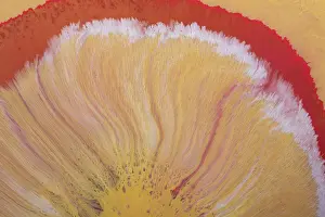 Natural Science Illustration Drucke: Process of dissolving acrylic paint into water