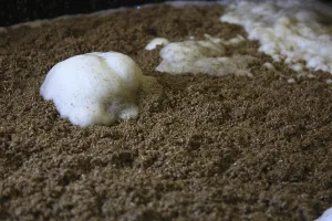 Whisky Production Process Drucke: Process of mashing and fermentation in whisky