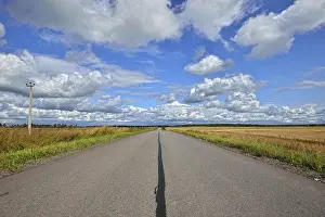 Rye Field Landscape Drucke: Prospect of the highway and rye fields on the sidelines