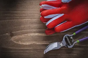 Professional Gardening Equipment Drucke: Protective gloves and sharp pruning shears on wooden board