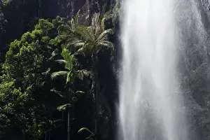 Palm Tree Landscape Photography Drucke: Protesters falls, waterfall with palm trees