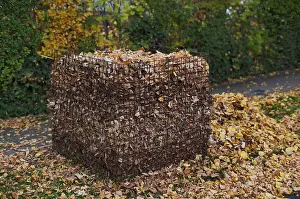 Steel Mesh Compost Basket Drucke: Public collection container, leaf basket