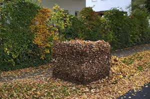 German Autumn Atmosphere Drucke: Public collection container, leaf basket