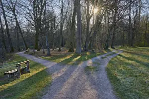 Lower Franconia Urban Environment Drucke: Public park with forked path and sun in spring