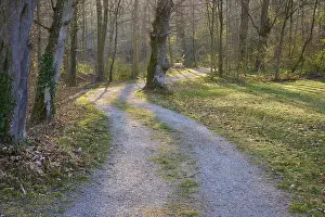 German City Park Drucke: Public park with path and bench in spring