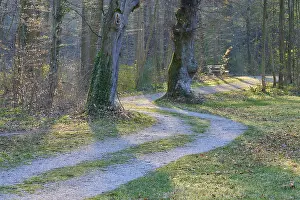 Bavarian Urban Environment Drucke: Public park with path and bench in spring