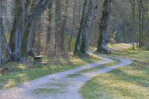 Deserted Bench In Germany Drucke: Public park with path and bench in spring