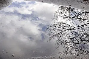 Water Reflections In Germany Drucke: Puddle with reflection, Winter, Germany