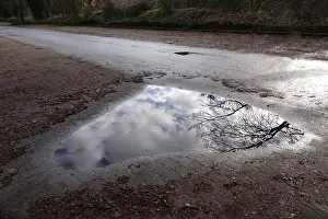 Central Europe Deserted Waterfront Drucke: Puddle with reflection, Winter, Germany