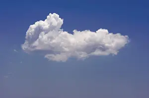 Cloudless Weather Drucke: Puffy clouds on a blue sky
