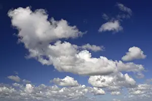 Schleswig Holstein Nature Photos Drucke: Puffy white clouds in a blue sky