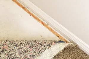 Deserted Living Space Drucke: Pulled back carpet and padding in room of house