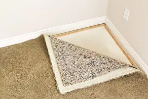 Deserted Living Space Drucke: Pulled back carpet and underlay in room of house