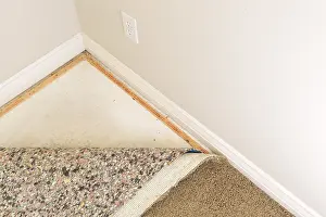 Deserted Living Space Drucke: Pulled back carpet and underlay in room of house