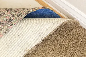 Deserted Living Space Drucke: Pulled back carpet and underlayding in room of house