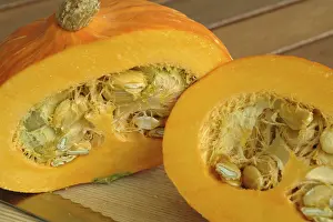 Pumpkin Nutrition Drucke: Pumkin