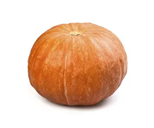 Studio Shot Of Pumpkin Drucke: Pumpkin isolated on white background