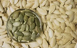 Medicinal Plant Seeds Drucke: Pumpkin seeds