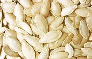 Medicinal Plant Parts Drucke: Pumpkin seeds