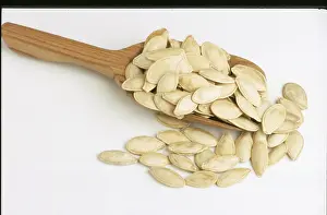 Pumpkin Seeds Drucke: Pumpkin seeds