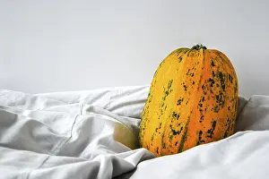White Background Fruit Drucke: Pumpkin on white clothes background