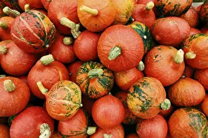 Pumpkin Nutrition Drucke: Pumpkins