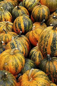 Vegetable Nutrition Facts Drucke: Pumpkins