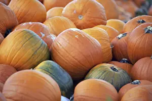 Sunny Autumn Day Drucke: Pumpkins, pumpkin patch