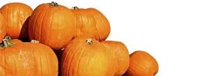 Holiday Decoration Ideas Drucke: Pumpkins with space for text