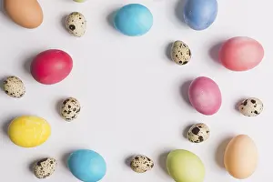 Quail Eggs Drucke: Quail colored eggs