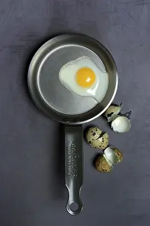 Quail Egg Nutrition Facts Drucke: Quail egg in frying pan and eggshells
