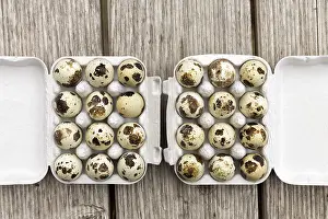 Nutrition In Quail Eggs Drucke: Quail eggs, two dozen in a box
