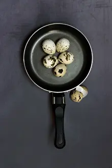 Plain Colored Background Studio Photo Drucke: Quail eggs in frying pan and egg shells