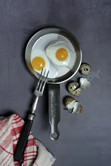 Quail Eggs Drucke: Quail eggs in frying pan and egg shells