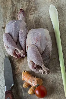 Medicinal Plants Drucke: Quails, Asian