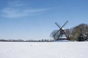 Historic Windmill Germany Drucke: Quantwick mill in winter, historic windmill