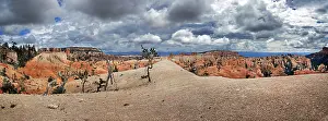Bryce Canyon Panorama Drucke: Queens Garden Trail with a dramatic cloudy sky