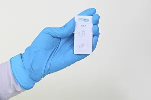 Contagious Disease Testing Drucke: Quick test Chlamydia from ProLine