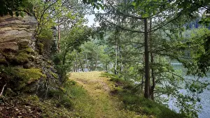Thuringian Slate Mountains Landscape Drucke: A quiet forest trail, surrounded by trees and rocks