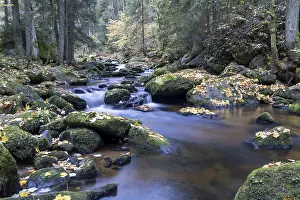 European River Landscape Photography Drucke: A quiet stream flows through the forest