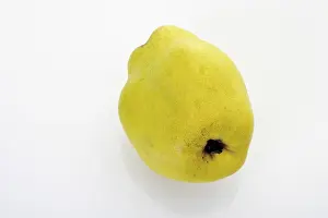 Studio Shot Fruit Photography Drucke: Quince