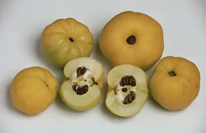 Full Frame Food Still Life Drucke: Quinces